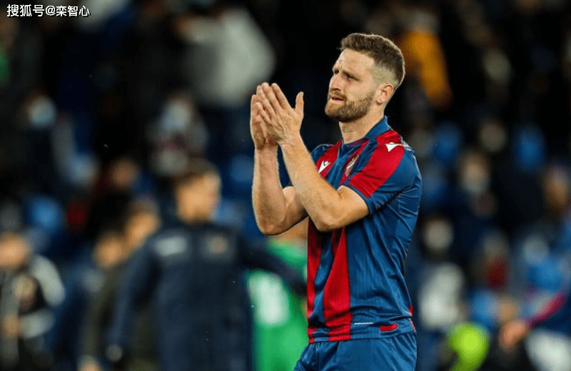 尚勒罗亚队在法国联赛中夺得胜利