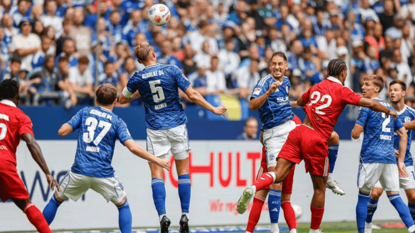 开云体育入口-关于沙尔克04主场苦战告负，球迷愤怒抨击球队表现的信息